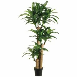 Best reviews of 🎁 6 Pack: 5ft. Tropical Dracaena Tree by Allstate 🔥