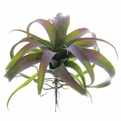 Promo 🧨 10.5" Tillandsia Pick, Green & Gray by Allstate 🧨
