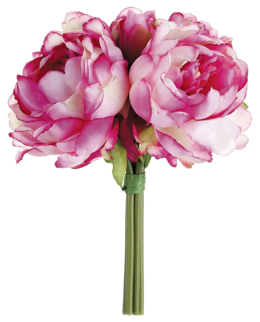 Budget π₯ 24 Pack: Dark Pink & White Peony Bouquet by Allstate π 1 Budget π₯ 24 Pack: Dark Pink & White Peony Bouquet by Allstate π