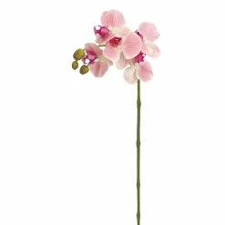 Best Sale ❤️ 24 Pack: Real Touch Pink Phalaenopsis Orchid Stem by Allstate 🧨