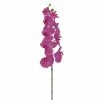 Best reviews of ⭐ 24 Pack: Fuchsia Phalaenopsis Orchid Stem by Allstate ✔️