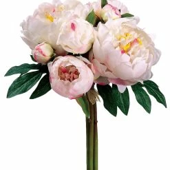 Best reviews of 👏 Cream & Cerise Peony Bouquet by Allstate 🧨