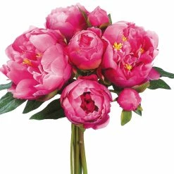 New ✨ 12 Pack: Dark Pink Peony Bouquet by Allstate 👏