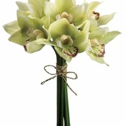 Discount 👍 White & Green Cymbidium Bouquet by Allstate ⌛