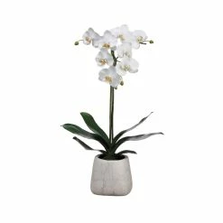 Cheap ⌛ White Orchid in Faux Marble Pot by Allstate ⌛