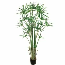 Brand new 🛒 6 Pack: 5ft. Cypress Grass Tree by Allstate ❤️
