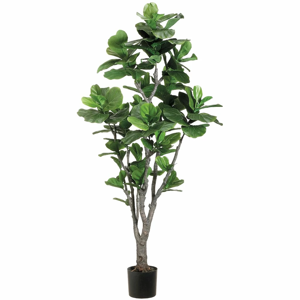 Best deal 🌟 6 Ft. Fiddle Leaf Fig Tree by Allstate ⭐ 1 Best deal 🌟 6 Ft. Fiddle Leaf Fig Tree by Allstate ⭐
