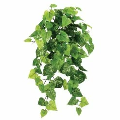 Top 10 🎁 30" Potato Leaf Hanging Bush, Light Green by Allstate 😍