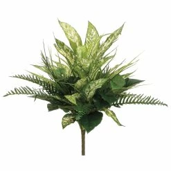 Deals ✨ 19" Aglaonema, Fern & Grass Mixed Bush, Variegated Green by Allstate 🥰