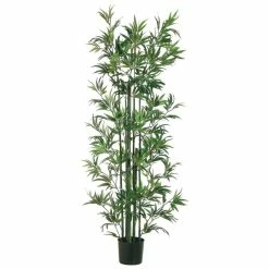 Discount 💯 6ft. Bamboo Tree by Allstate 💯