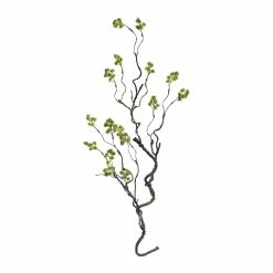 Top 10 😉 Green Mini Blossom Spray by Allstate 🛒