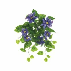 Best deal 🧨 12 Pack: Purple UV Protected Clematis Bush by Allstate 👍