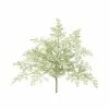 Hot Sale 🔔 24 Pack: Green Dusty Miller Bush by Allstate 😍