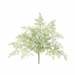 Cheapest 🔔 Green Dusty Miller Bush by Allstate 🎁