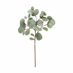 Best reviews of 🔥 24 Pack: Eucalyptus Spray by Allstate 😀