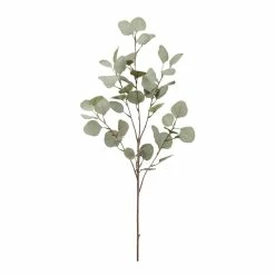 Top 10 ❤️ 24 Pack: Eucalyptus Spray by Allstate 👏