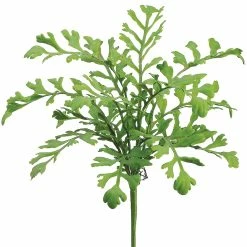 Cheapest 🎁 Miller Fern Bush by Allstate 🥰