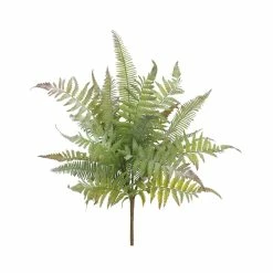 Top 10 🥰 Mixed Fern Bush by Allstate 😍
