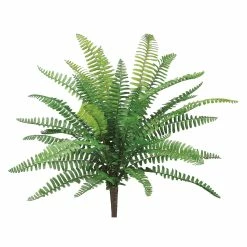 Flash Sale ⌛ UV Protected Boston Fern Bush by Allstate 🔥
