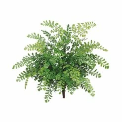 Cheap 🧨 UV Protected Maidenhair Fern Bush by Allstate 🎁