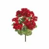 Best deal 🤩 Red Geranium Bush by Allstate 🔥