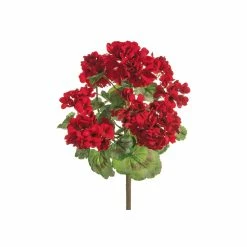 Best deal 🤩 Red Geranium Bush by Allstate 🔥