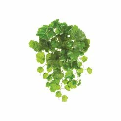 Buy ✨ Geranium Leaf Bush by Allstate 🤩