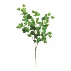 Best Pirce ⭐ 12 Pack: Green Hops Spray by Allstate 😉