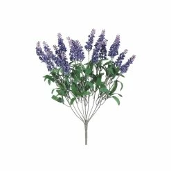 Best Pirce 🛒 Lavender Bush by Allstate 🧨