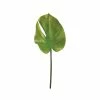 Top 10 🎁 24 Pack: Split Philodendron Leaf Stem by Allstate ⭐
