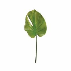Top 10 🎁 24 Pack: Split Philodendron Leaf Stem by Allstate ⭐