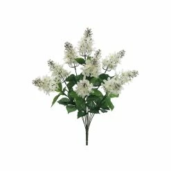 Top 10 ⭐ 24 Pack: Cream & White Lilac Bush by Allstate 😀