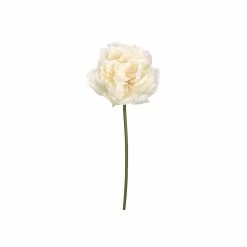 Wholesale 🔔 24 Pack: Cream Blush Peony Stem by Allstate ❤️