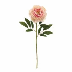 Wholesale 😍 Rose Cream Peony Stem by Allstate 👏