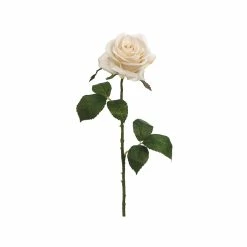 Best reviews of 👍 24 Pack: Beige Rose Stem by Allstate ⌛