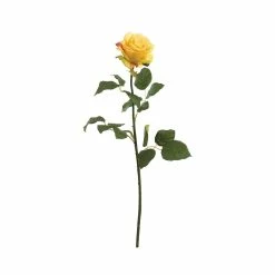 Best reviews of ✔️ 24 Pack: Yellow Confetti Rose Stem by Allstate 🎉