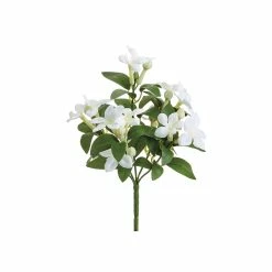 Coupon ✔️ White Stephanotis Bush by Allstate 🛒