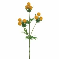 Best reviews of 😍 Yellow Globe Thistle Spray by Allstate 🔔